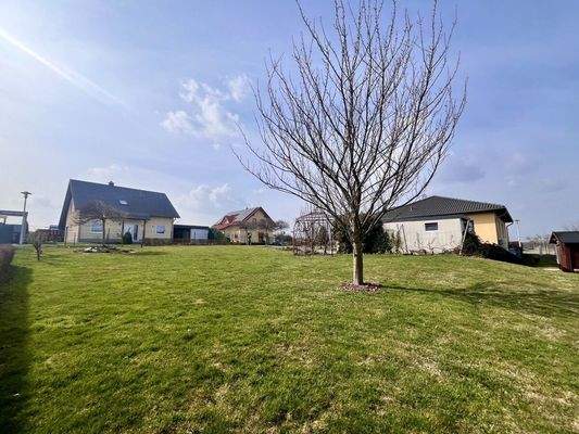 großes, pflegeleichtes Grundstück