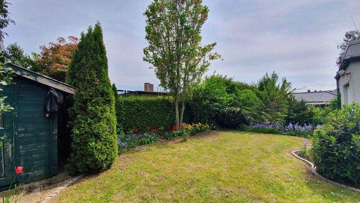 Garten hinter dem Haus 2