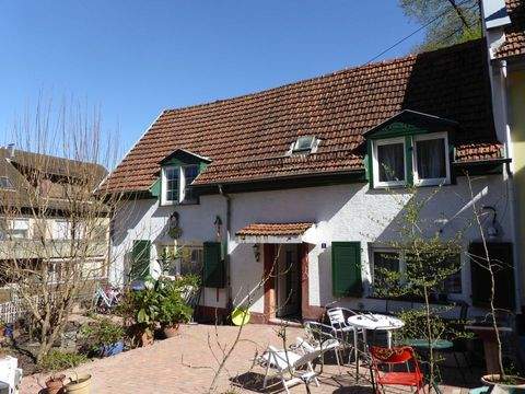 Heidelberg Häuser, Heidelberg Haus kaufen