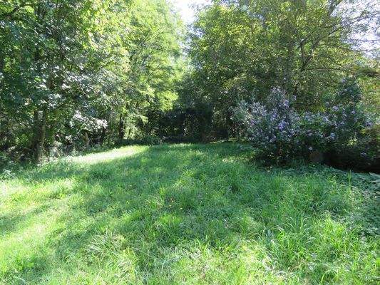 Gartenanteil am Waldrand     