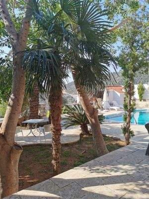 Gartenblick zum Pool