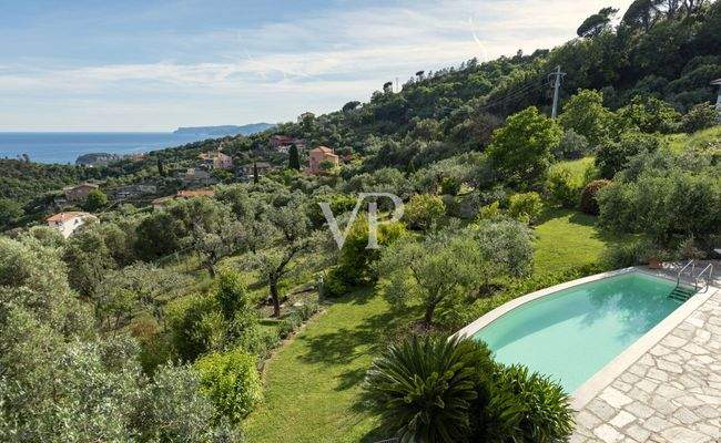 Piscina, giardino ed uliveto