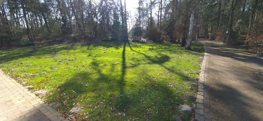 Garten + Auffahrt