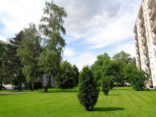 Gepflegtes Wohnumfeld