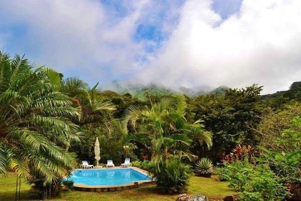 Swimmingpool mit Palmengarten.JPG