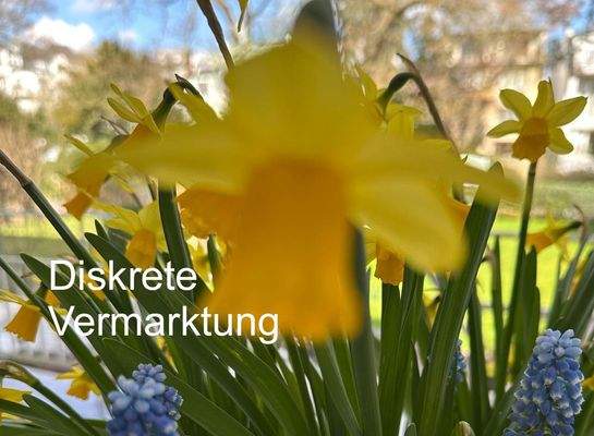 Diskrete Vermarktung