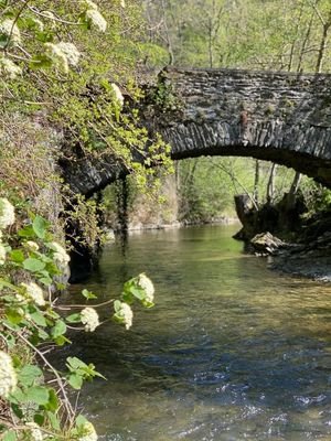 die Brücke an der Mühle mit Bach 