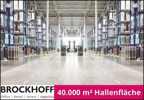 Münster Halle, Münster Hallenfläche