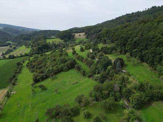 dji_fly_20250809_111102_452_1754731055001_photo.JP