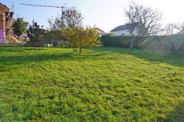 Blick in den großen Garten