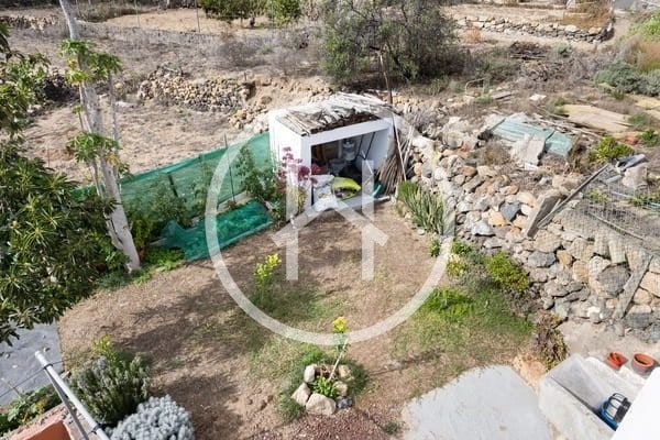 030_Finca_Fasnia_Tizina.jpeg