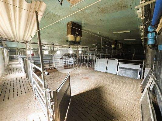 469.Betrieb.Innen.Stall (3)