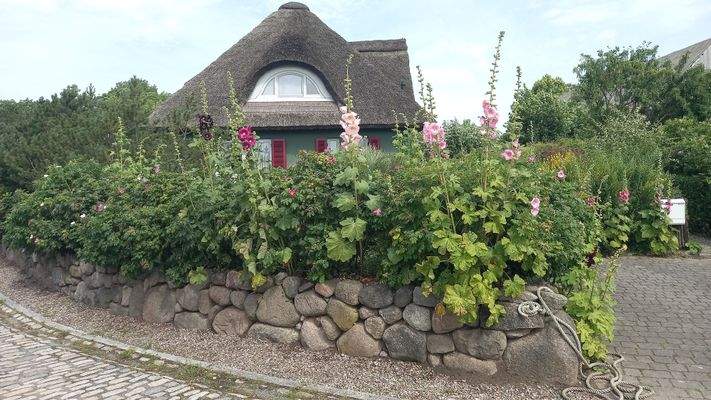 Blick vom Stellplatz.jpg