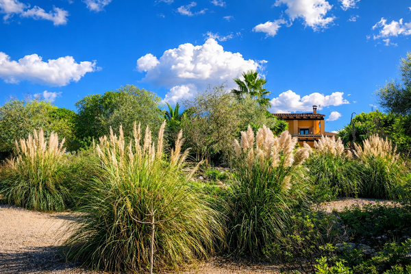 ChatGPT Image 6. Feb. 2026, 12_07_59