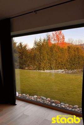 toller Blick ins Grüne!