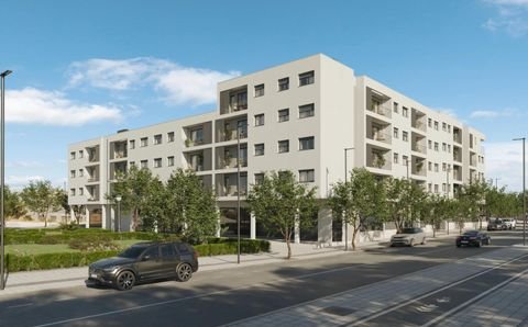 Alicante Wohnungen, Alicante Wohnung kaufen
