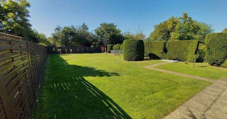 Garten / evtl. Baufeld