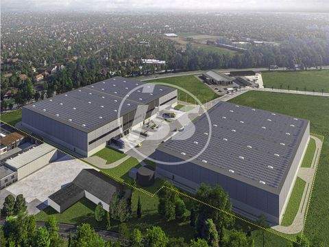 Emmerich am Rhein Halle, Emmerich am Rhein Hallenfläche