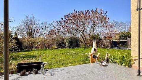 Bad Bellingen Wohnungen, Bad Bellingen Wohnung kaufen