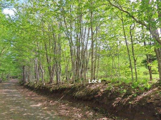 Cape Breton - Traumhaft schöne Naturlage am Middle