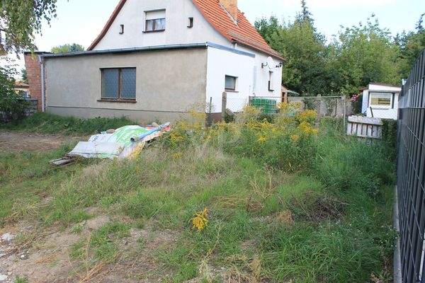 linker Bereich hinten