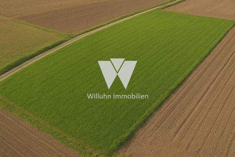 Wiedemar Bauernhöfe, Landwirtschaft, Wiedemar Forstwirtschaft