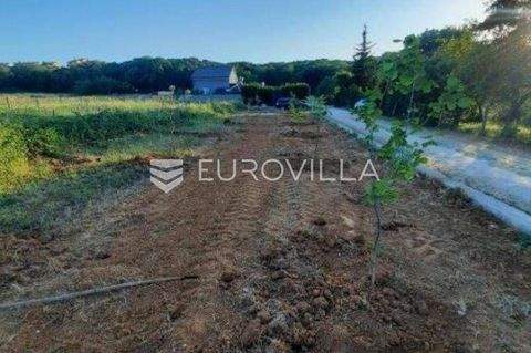 Veruda - Verudela Bauernhöfe, Landwirtschaft, Veruda - Verudela Forstwirtschaft