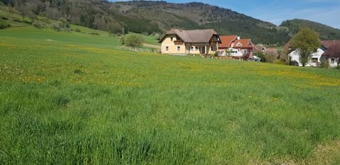 Laimbach am Ostrong Grundstücke, Laimbach am Ostrong Grundstück kaufen