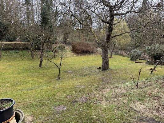 gemeinschaftlicher Garten