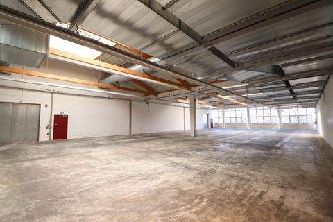 Grub a. Forst Halle, Grub a. Forst Hallenfläche