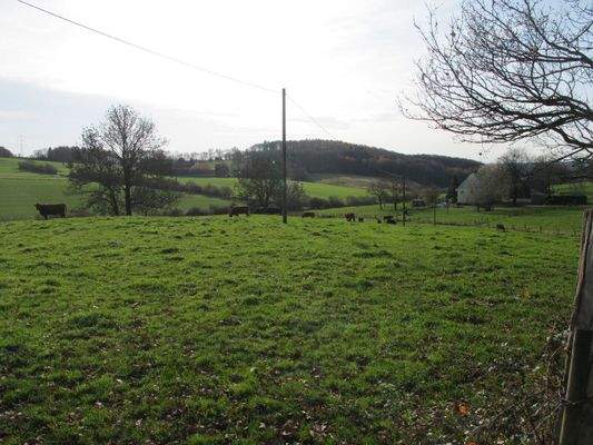 Traumblick inklusive