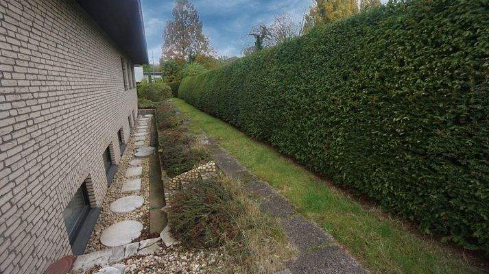 Grünfläche neben dem Haus