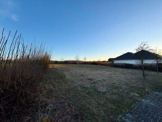 d979f2df-6354-49c5-9881-dec2595db69e.jfif