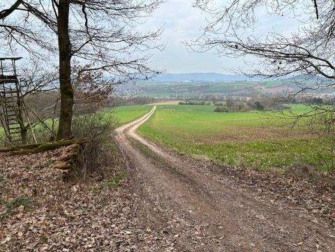 Wehretal Bauernhöfe, Landwirtschaft, Wehretal Forstwirtschaft