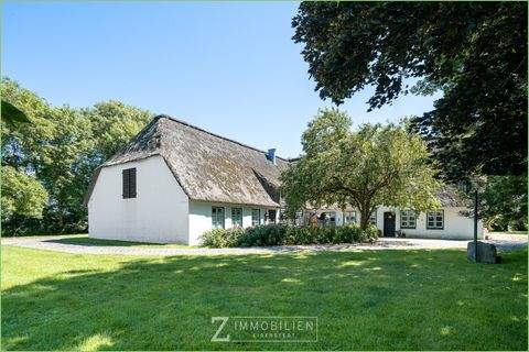 Tating Häuser, Tating Haus kaufen