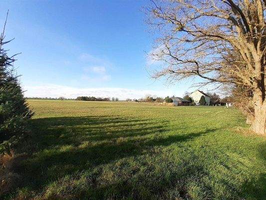 11. Aufs Grundstück geschautjpg