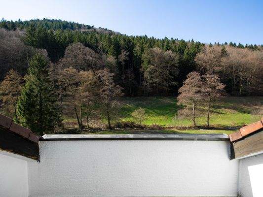 Blick vom Dachbalkon