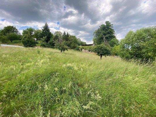 Hangaufwärts Richtung Nordost.jpg