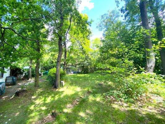 hinterer Garten mit Zugang zum Wald