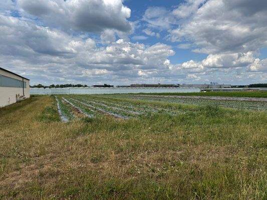 Blick vom Grundstück nach hinten auf die Wiesen 