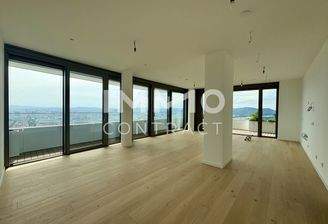 Wohn-Essbereich Richtung Kahlenberg