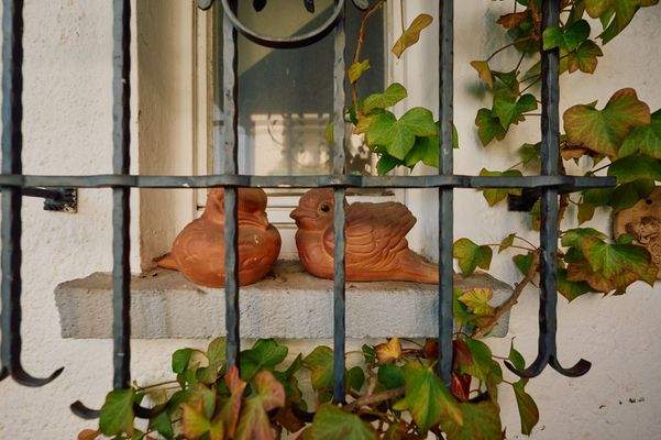 Detailansicht Fenster 