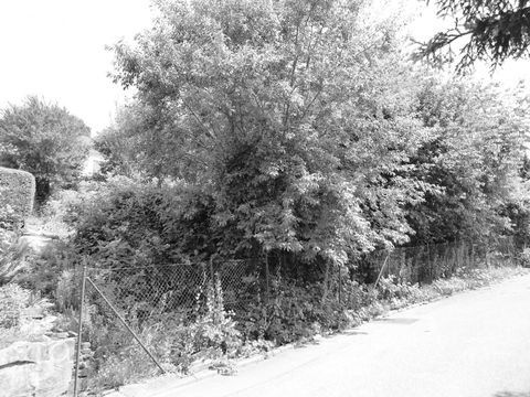 Neckargemünd Grundstücke, Neckargemünd Grundstück kaufen
