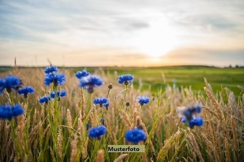Ebeleben Bauernhöfe, Landwirtschaft, Ebeleben Forstwirtschaft