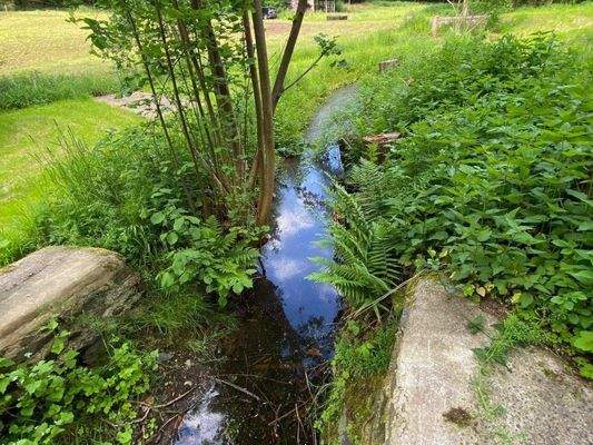 59 Wasserlauf Schneidemühle.jpg