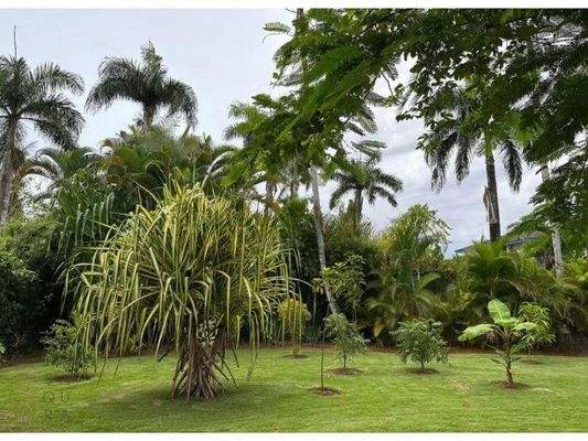 wmimg_amavi-real-estate-las-terrenas-dr-forsale-casa-Dewaschehn41_cleanup