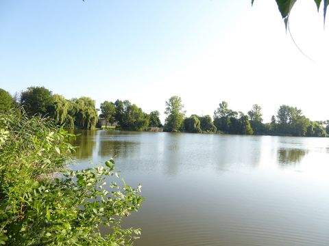 Borsdorf Wohnungen, Borsdorf Wohnung mieten