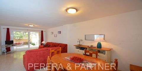 Cala Ratjada Wohnungen, Cala Ratjada Wohnung mieten