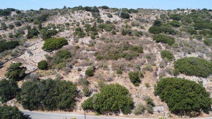 Kreta, Kaina: Grundstück mit herrlichem Bergblick zu verkaufen