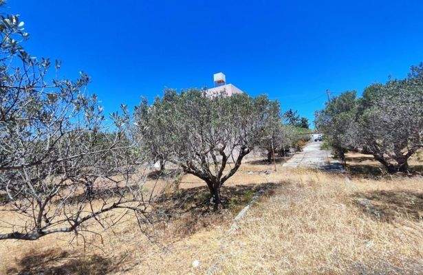 Kreta, Monastiraki: Großes Anwesen mit vielen Möglichkeiten zu verkaufen